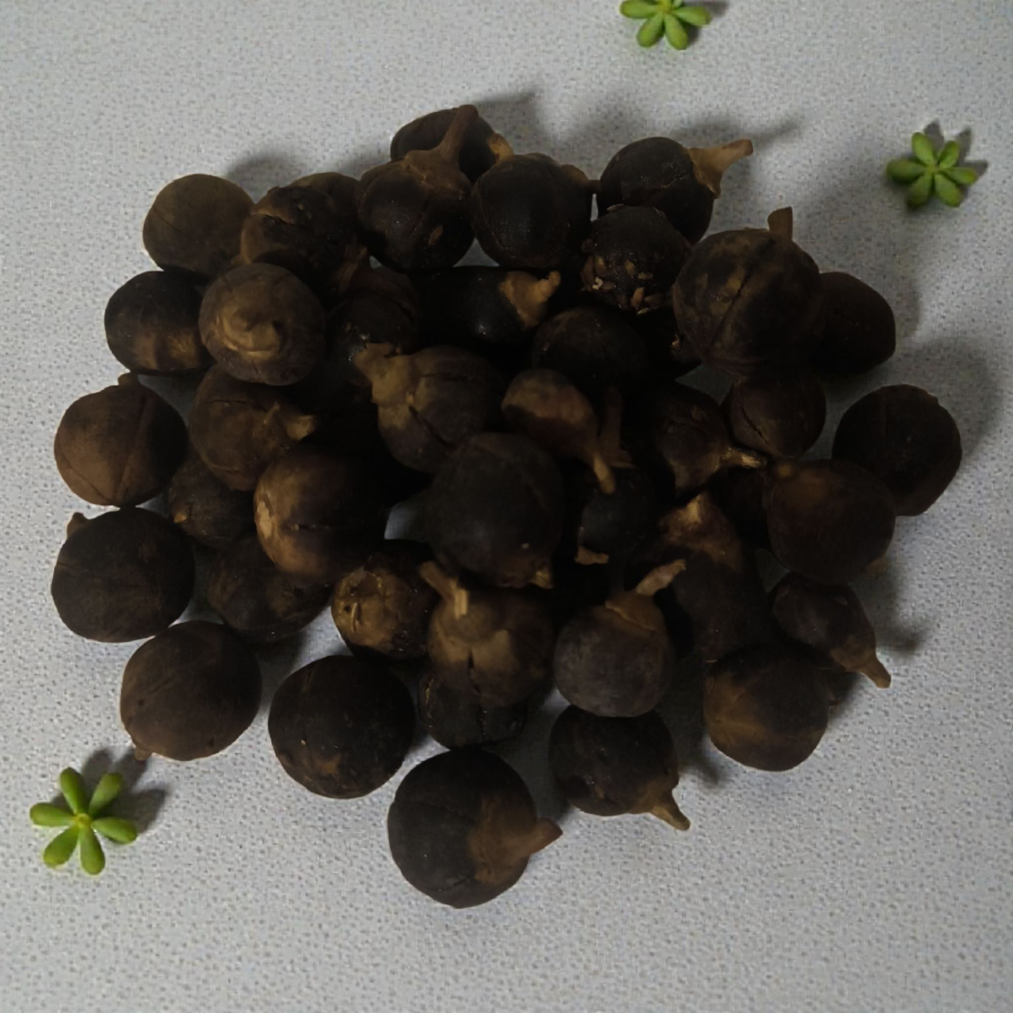 Gorotoula (Goron Tula) - Fruit Miracle de Bien-Être Féminin (x 10) - Faithgsjoel