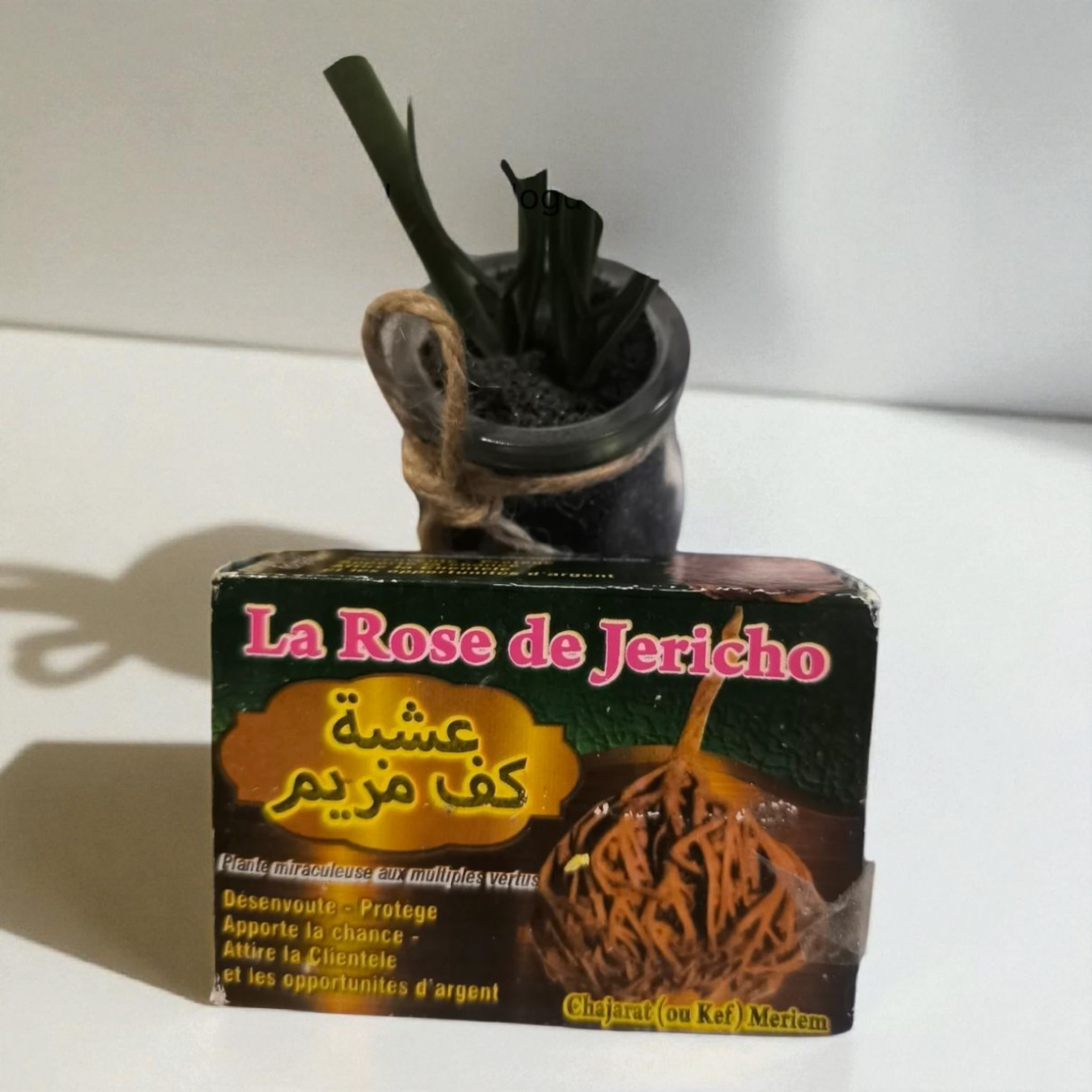 Savon Rose de Jericho – Purification et Protection 200g - Faithgsjoel