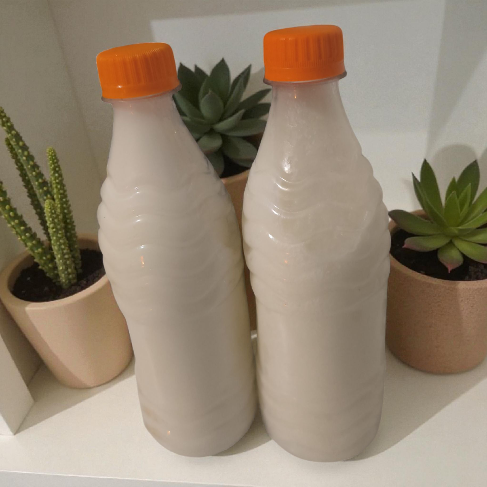 Huile de Coco Pure 60ml - Hydratation Cheveux et Peau Bio ( X1 ) - Faithgsjoel