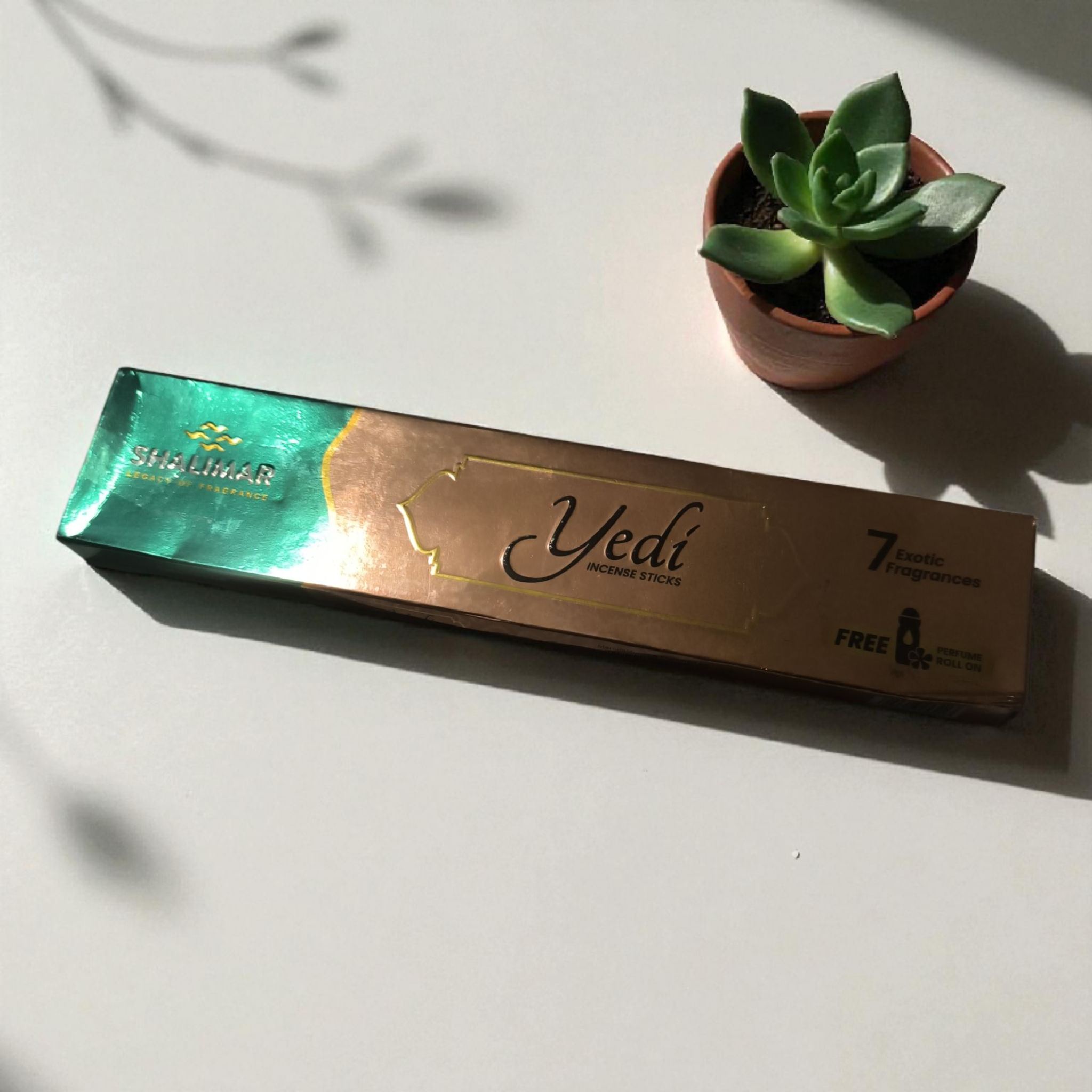 Charme, Protection et Énergies Positives