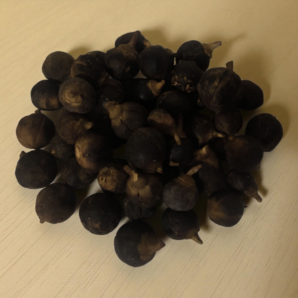 Gorotoula (Goron Tula) - Fruit Miracle de Bien-Être Féminin (x 10) - Faithgsjoel