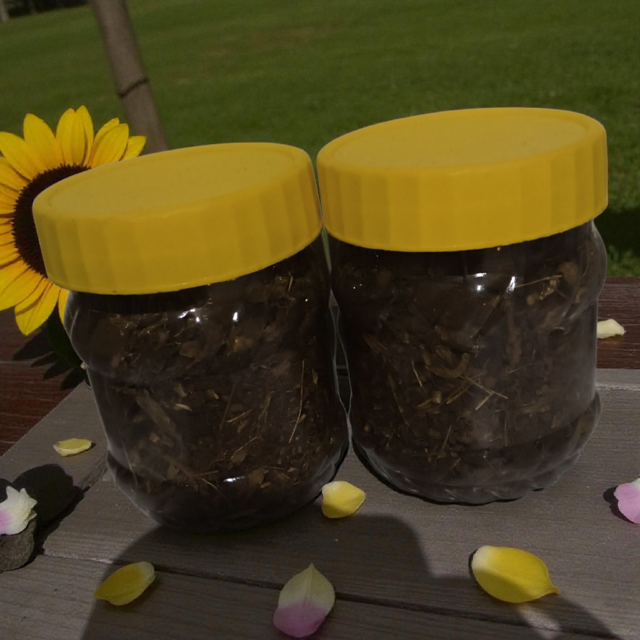 Encens Naturel 70g - Purification Naturelle (X1)